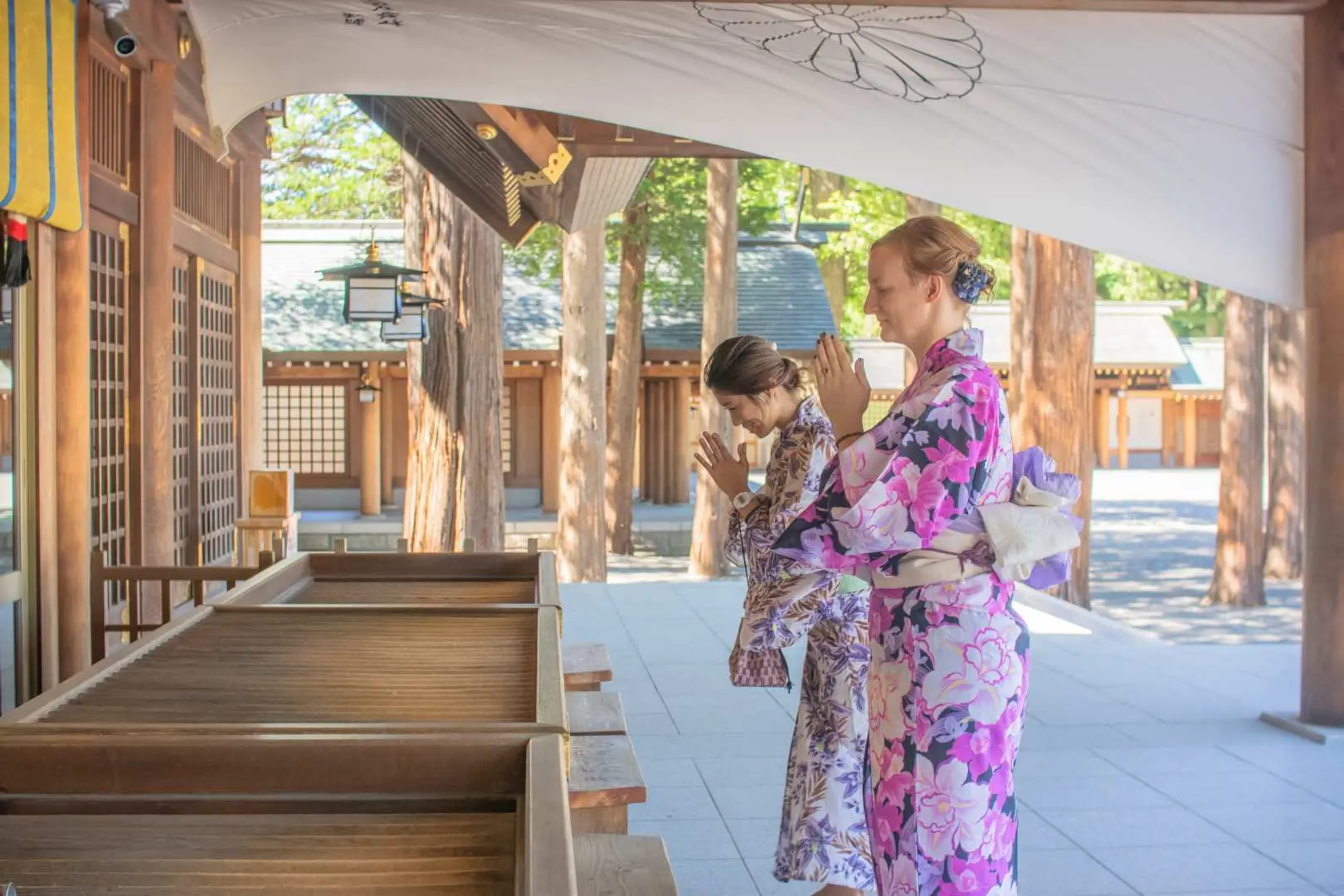 Two visitors in stunning kimonos solemnly praying at Hokkaido Shrine in Sapporo, experiencing traditional Japanese culture.