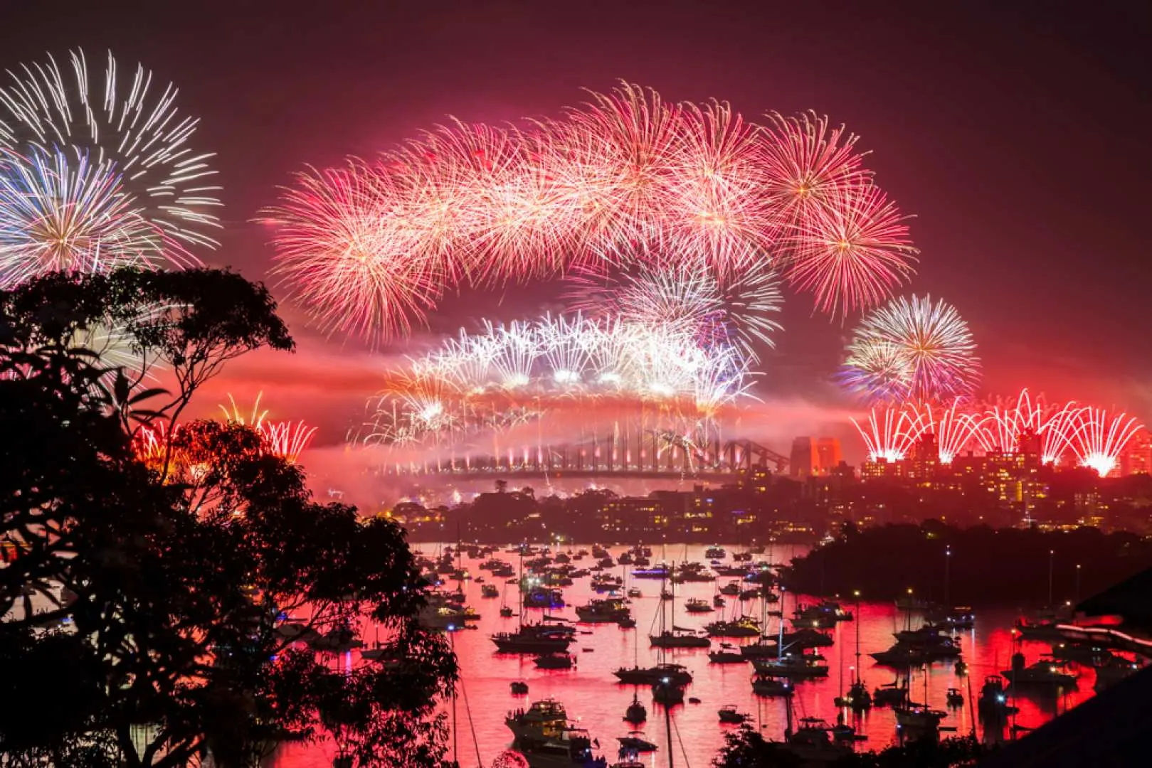 2026雪梨跨年煙火遊輪，從幻多奇海洋冒險號上欣賞達令港上空璀璨奪目的紅粉色煙火，照亮港灣與船隻。