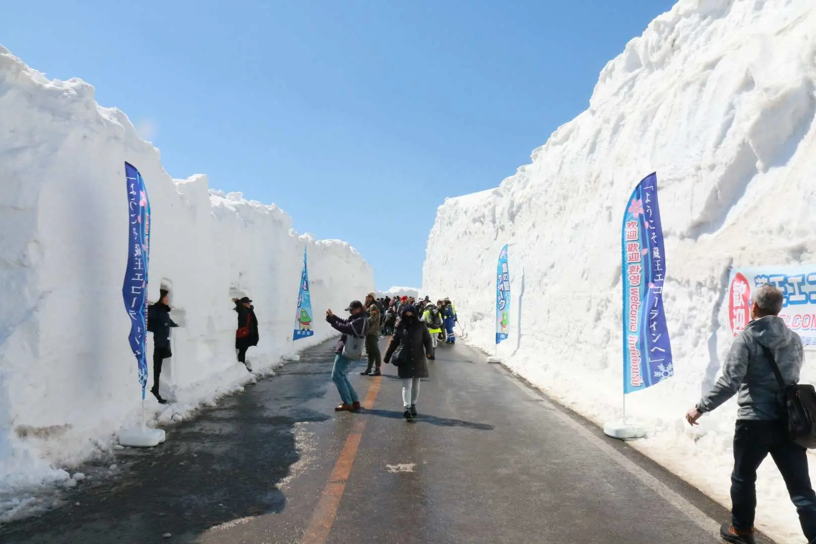 游客们在藏王ECO LINE雪壁奇景中步行，道路两旁插着活动旗帜，体验东北春天限定高达9公尺的雪之壁FREE WALK活动。