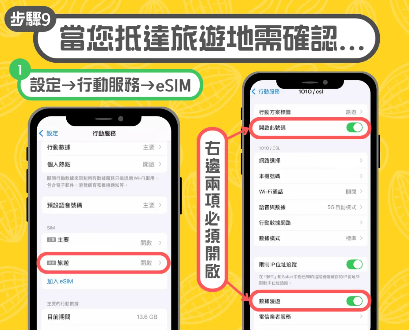 手机屏幕显示中国eSIM卡抵达目的地确认步骤9，需确认开启“启用此号码”和“数据漫游”设置。