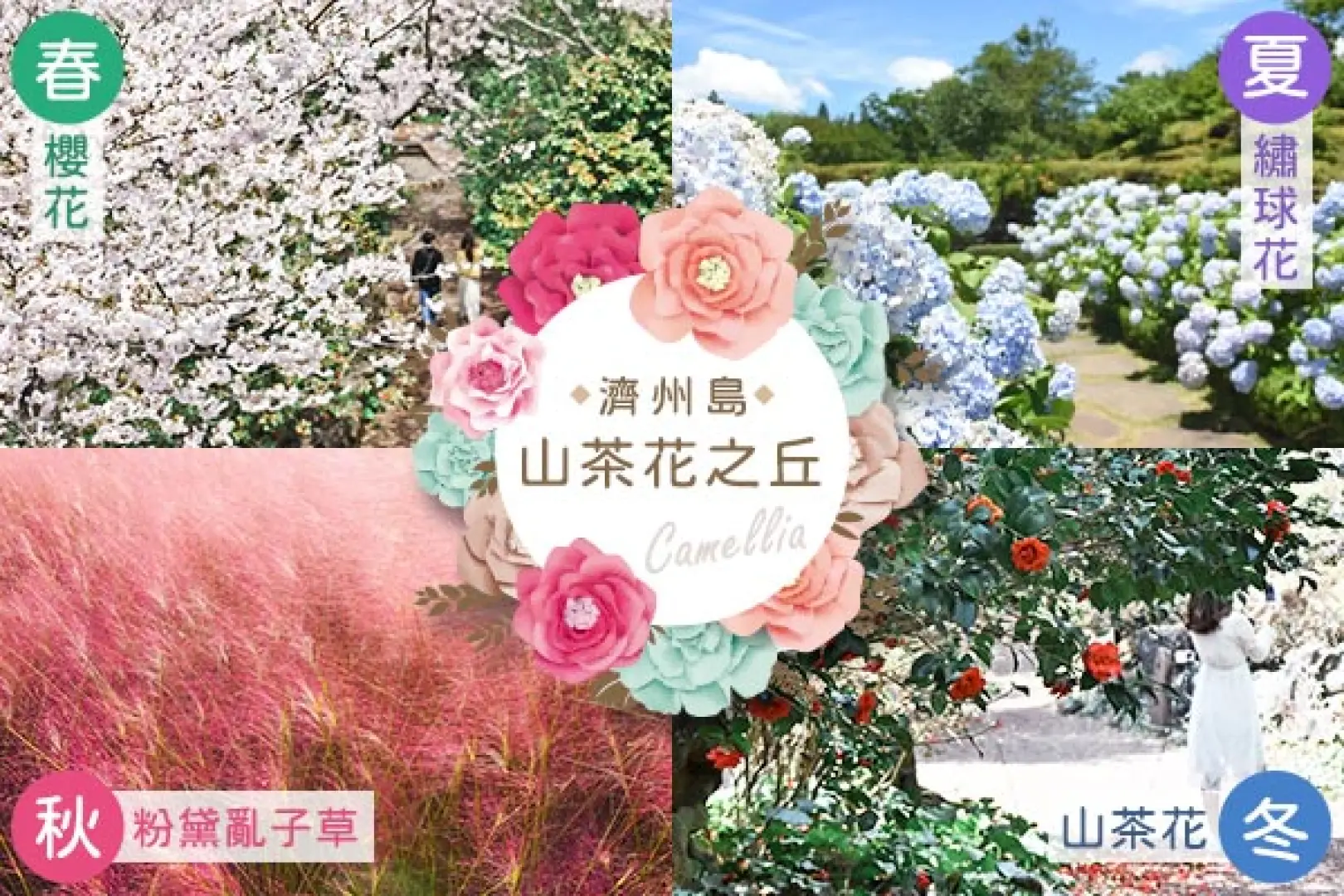 【入●韓系彩粧名品店〉入●護肝寶專賣店〉入●山茶花之丘(四季賞花)〉入●神話世界綜合渡假村-五星藍鼎酒店〉入●神話世界自由活動(贈主題樂園門票)〉入●神話世界【藍鼎廳】海鮮百匯自助晚餐】