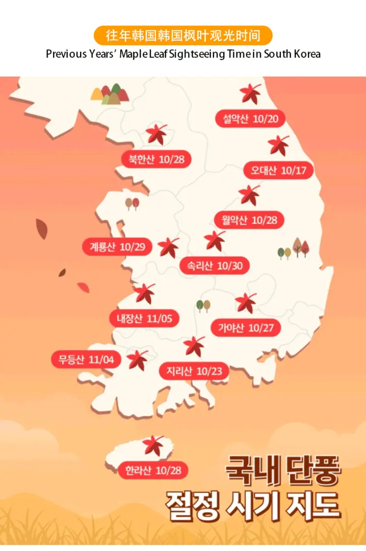 韓國往年楓葉最佳觀賞時期地圖，標示各地區的賞楓高峰日期，幫助規劃秋季之旅。
