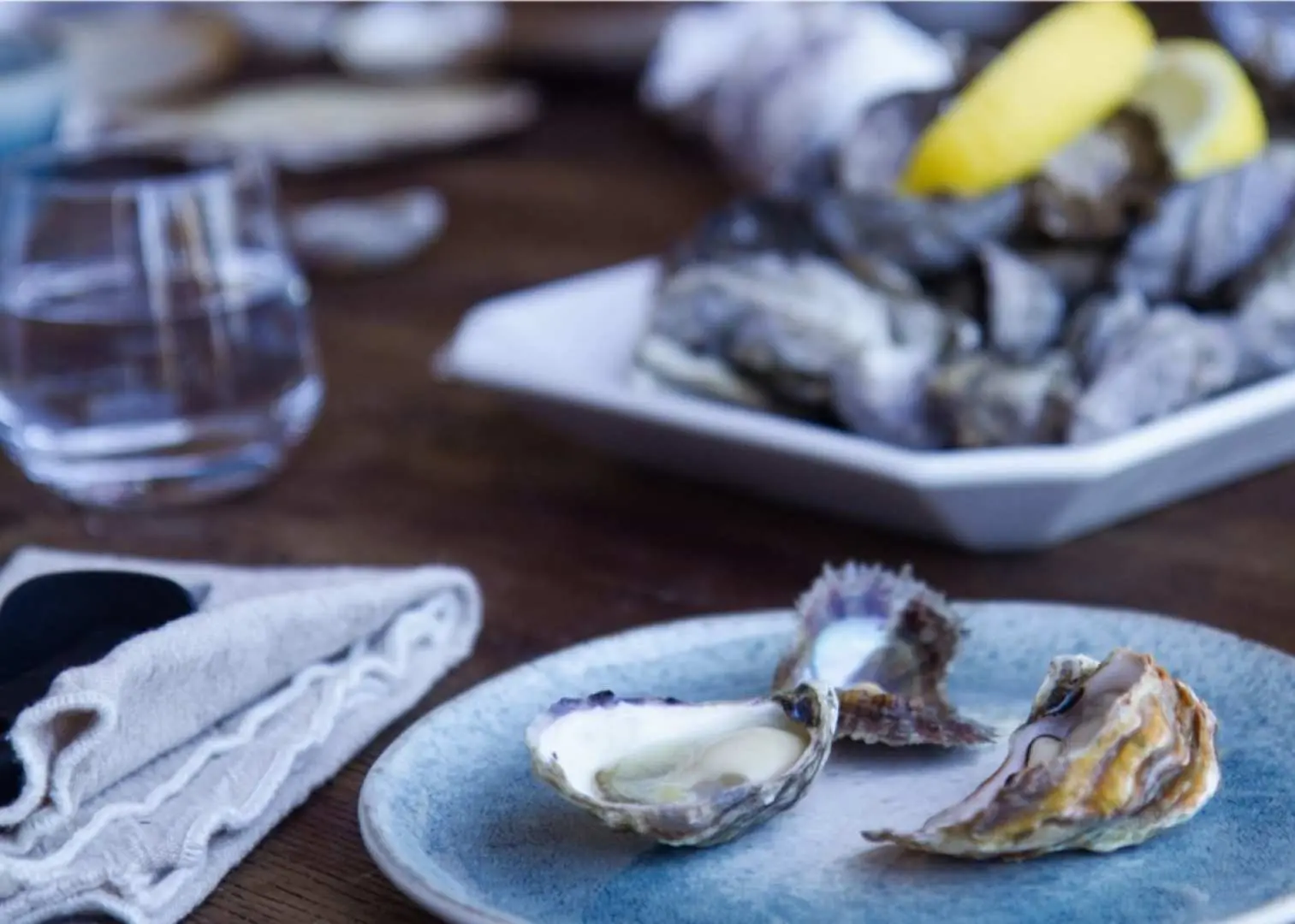 Close-up of fresh shucked Hawkesbury River oysters, including Sydney Rock and Pacific varieties, served with lemon, ready for a guided tasting experience.