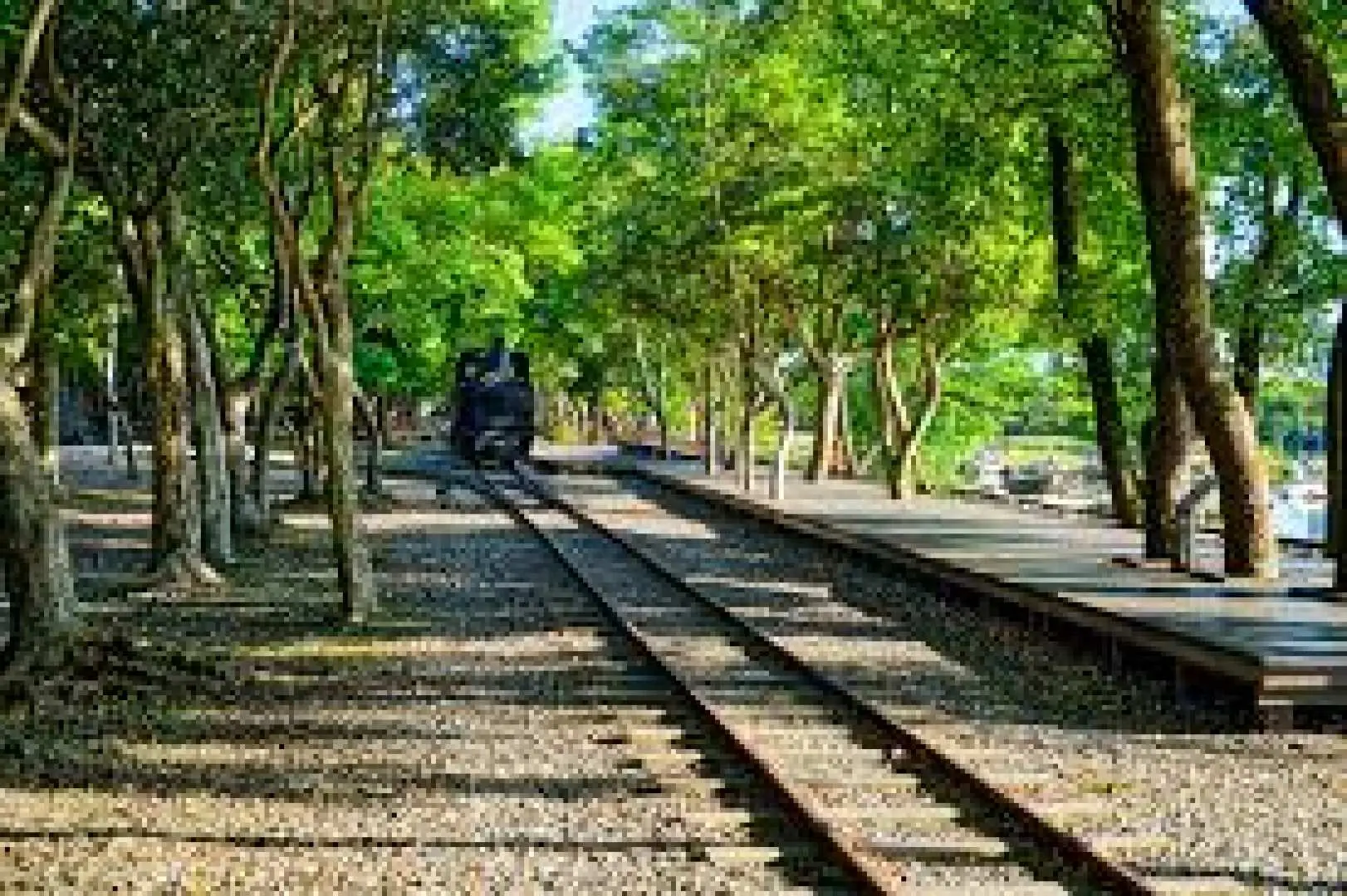 罗东林场：为太平山林场之制材作业、贮木场、营林办公厅与职员宿舍，园区内完整保存林业设施、聚落、贮木作业设施、载运机具等，为太平山林业发展之活历史。藉由太平山林场的发展，奠定日后罗东木材都市与宜兰工商中心之基础。