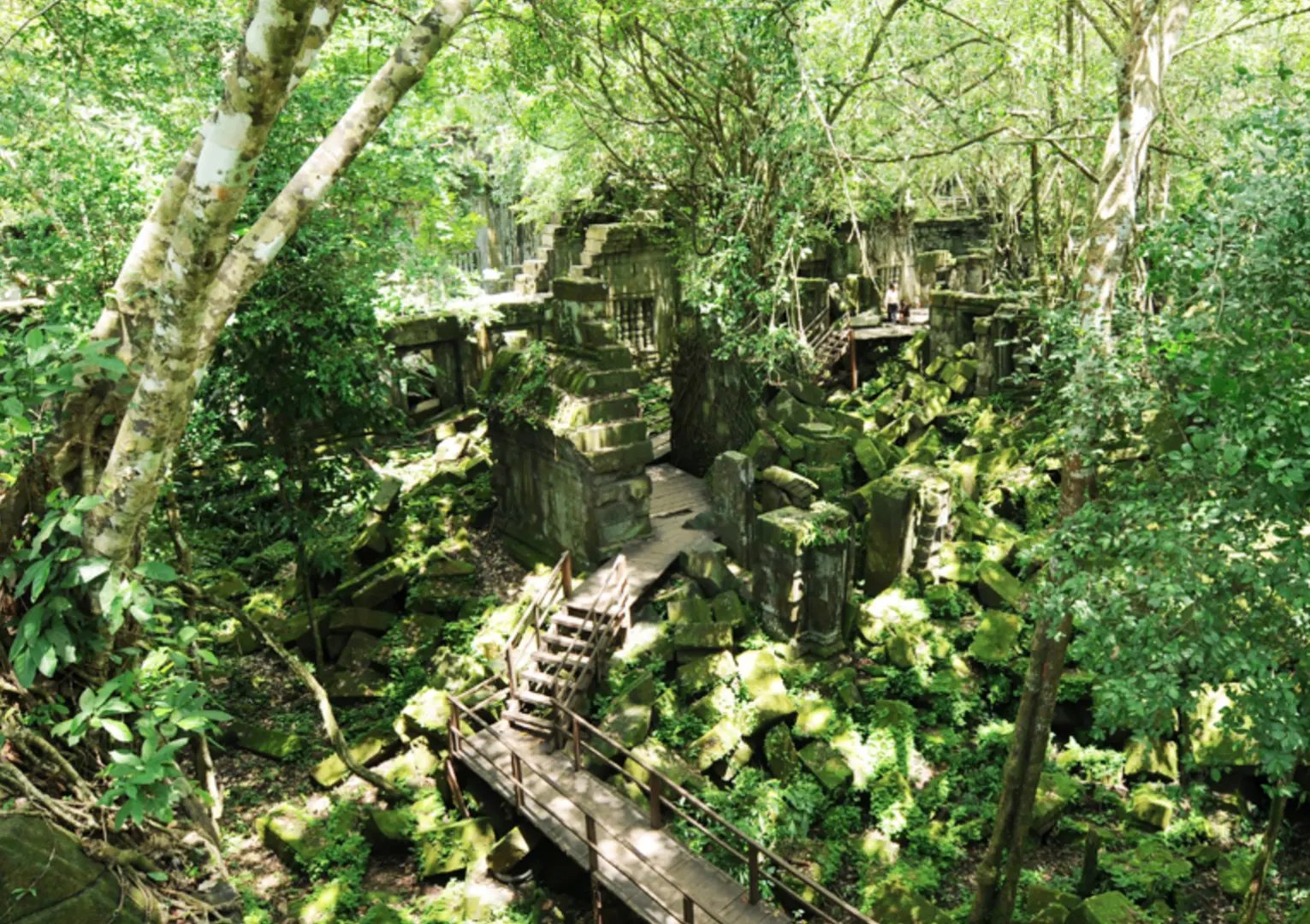 カンボジアのベンメリア遺跡のパノラマビュー。苔むした石、倒れたブロック、そして木製の通路が、緑豊かなジャングル環境を訪れる人々を導きます。