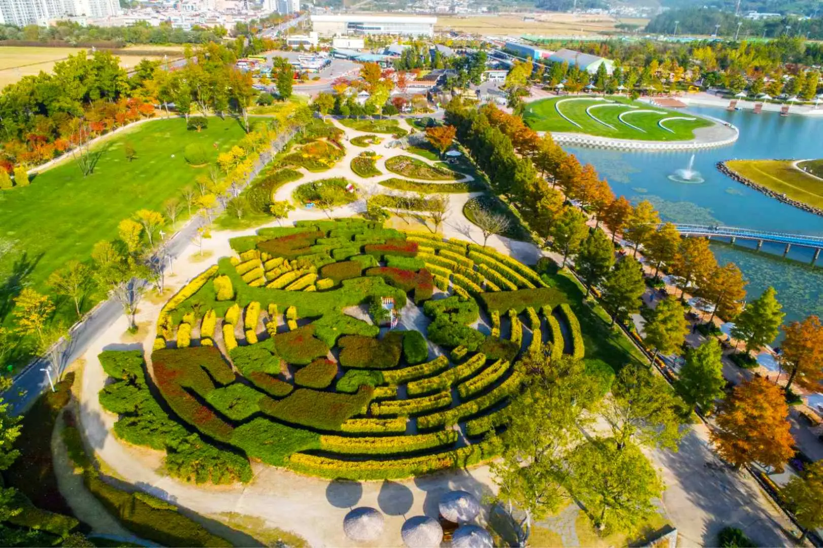 An aerial view of the magnificent maze garden in Suncheon Bay National Garden, where lush green hedges and pathways intertwine into intricate patterns, showcasing a unique landscape feature of the Busan day trip.