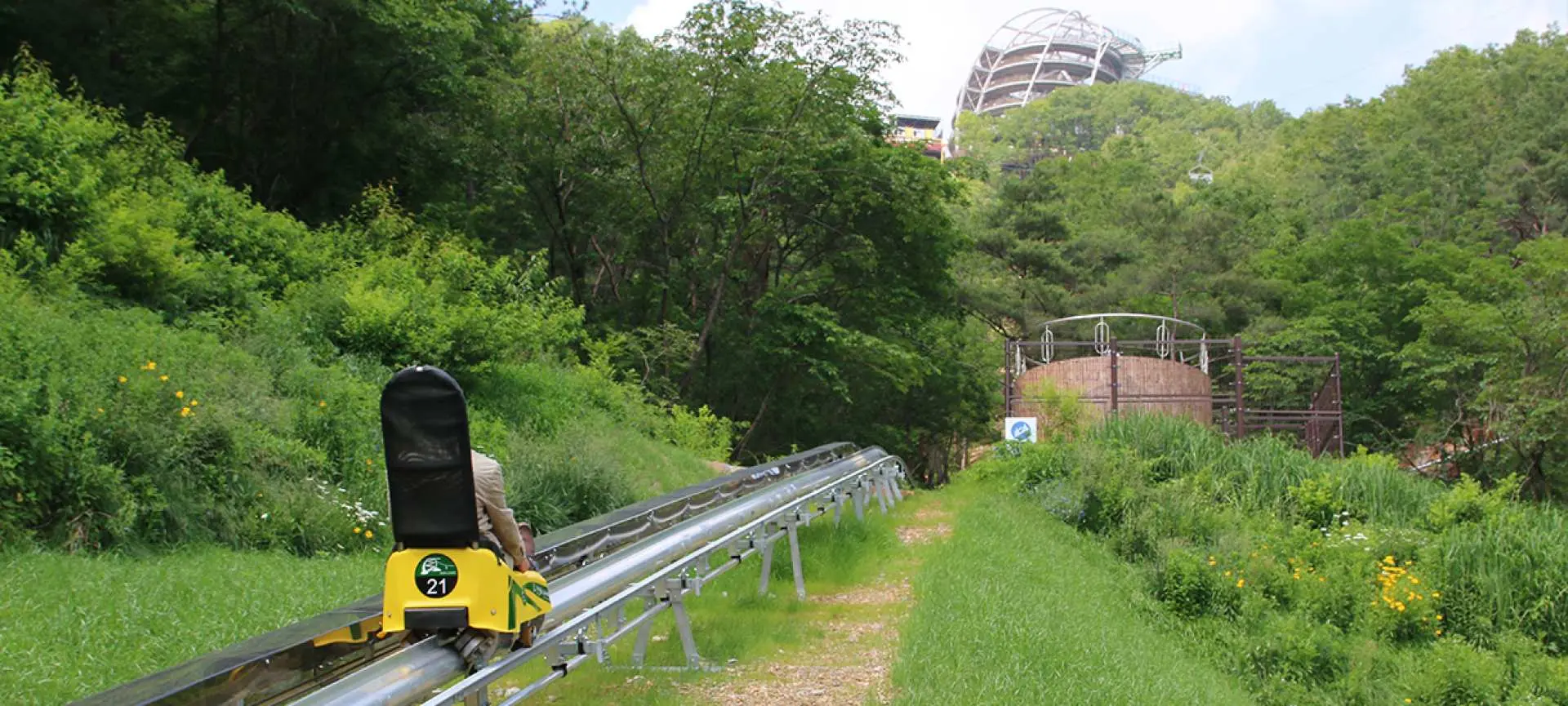 高山飛車