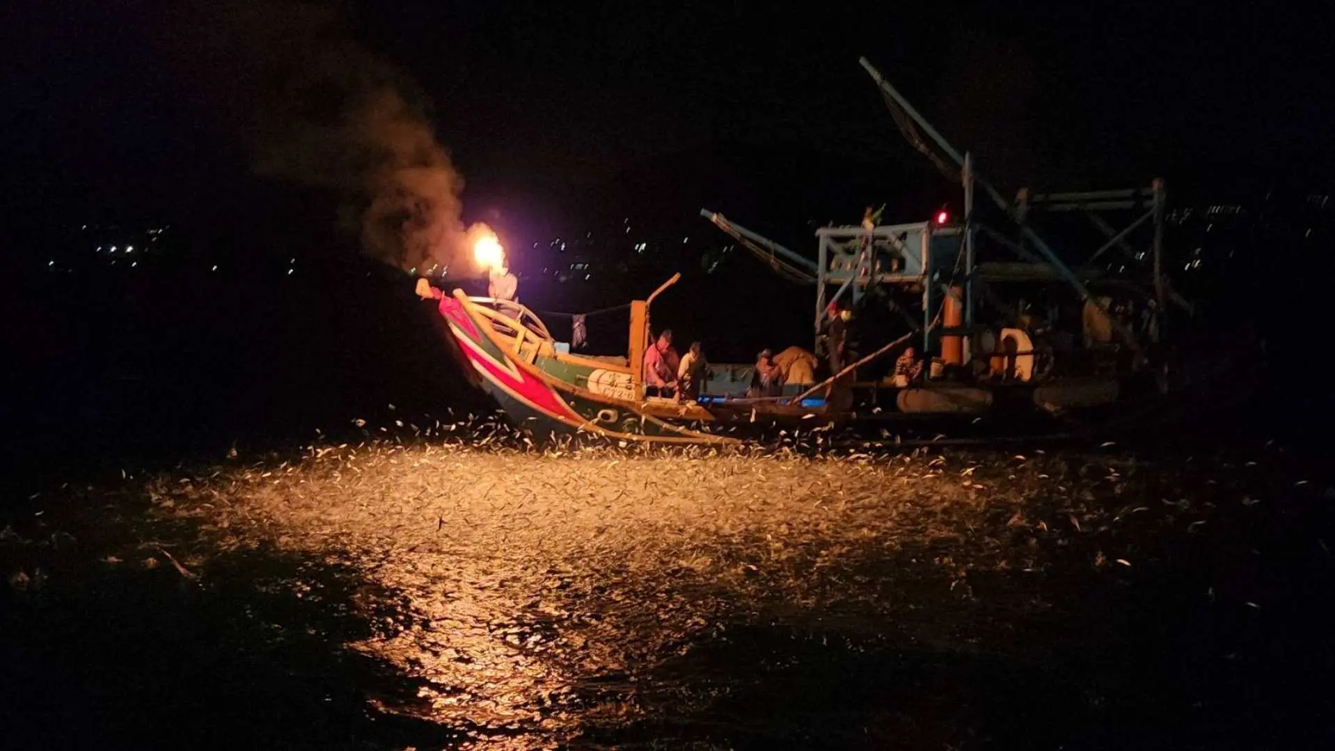 Jinshan 'Baohuozai' fishing boat at night, using strong light to attract a large swarm of fish jumping, showcasing the world's unique sulfur fire fishing spectacle.