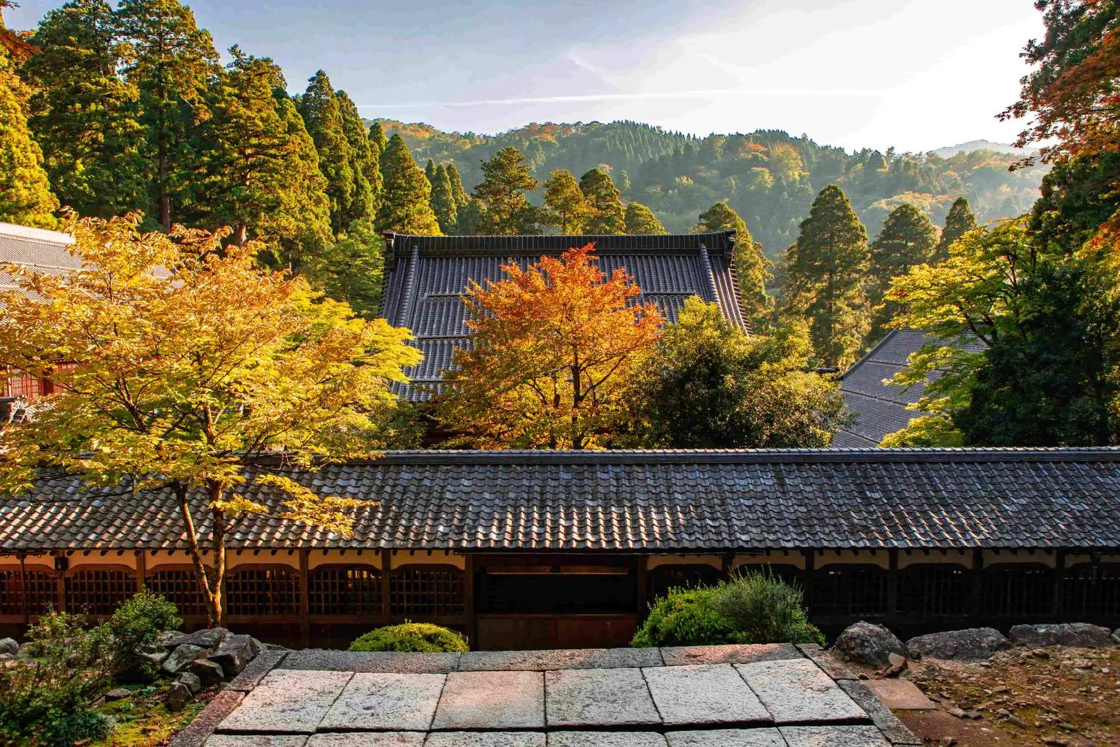 日本福井永平寺全景，傳統寺廟建築在秋葉環繞的山谷中，金黃色樹葉與翠綠山林交織，展現寧靜祥和的禪意。