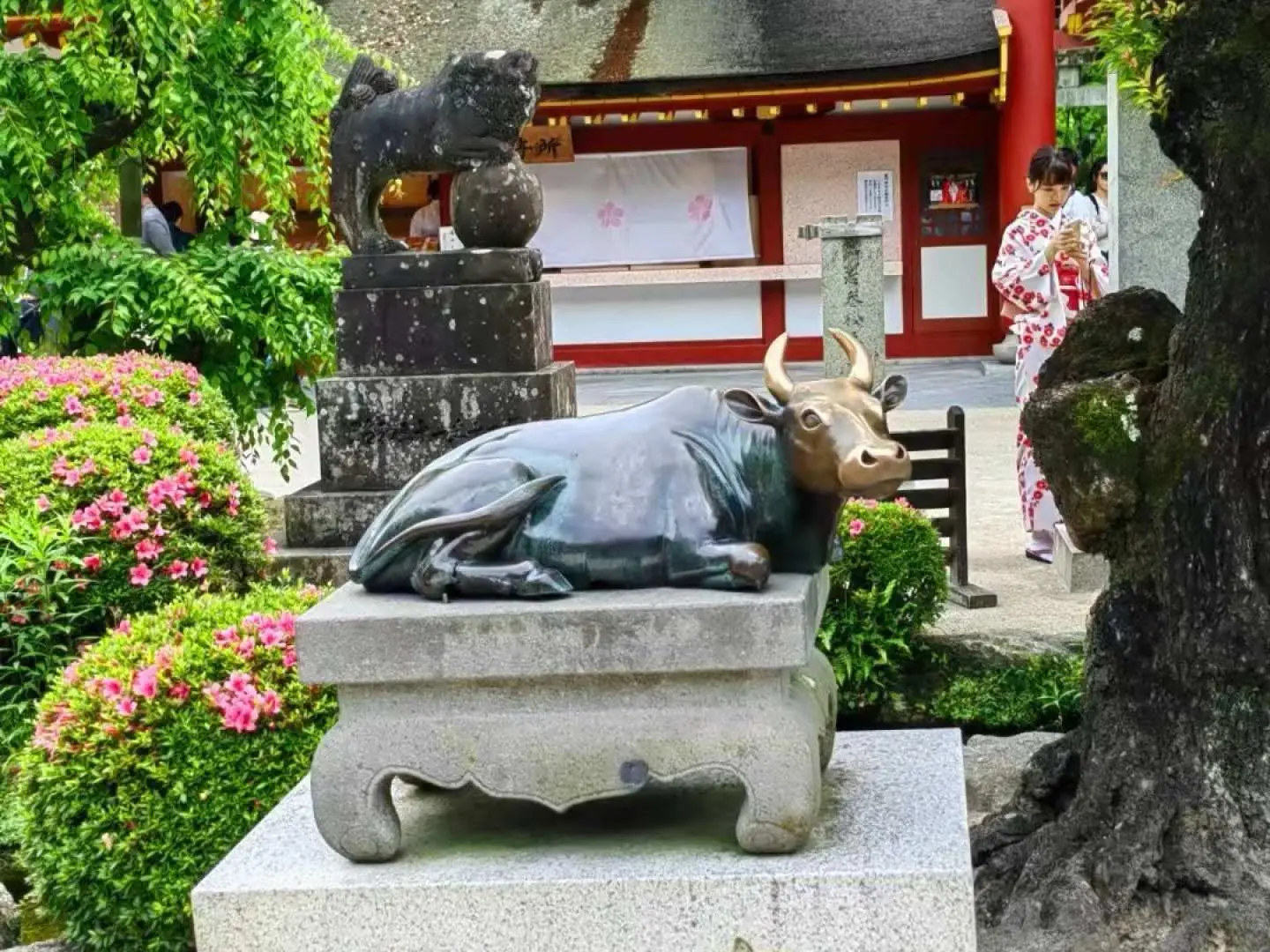 福岡太宰府天滿宮的「御神牛」青銅雕像，信徒們相信撫摸牛像能增長智慧、帶來好運，是神社的標誌性象徵。