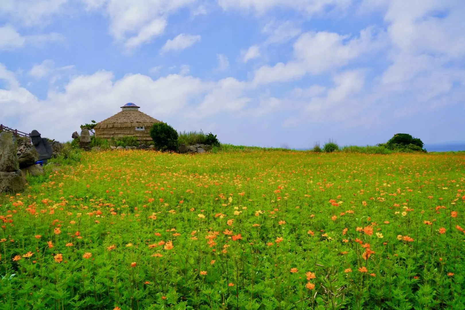 韩国加波岛绿色花海中，一栋传统茅草屋静静伫立，描绘济州岛自然与文化融合的风光。