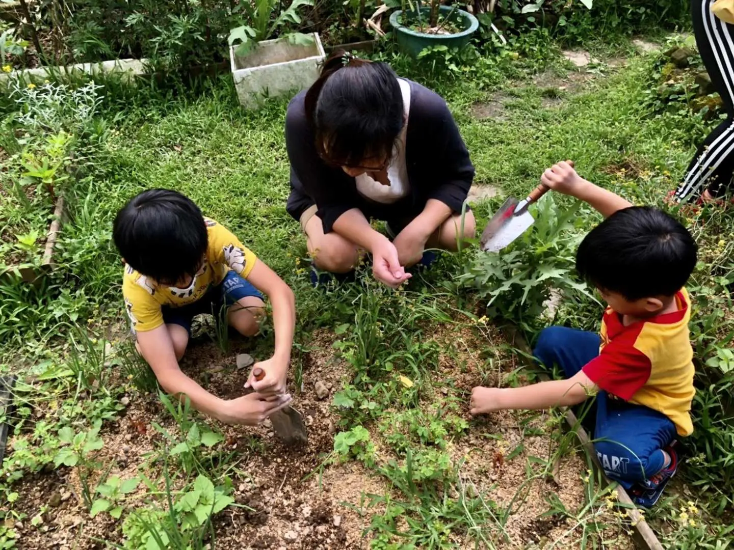 新北石碇蔥油餅DIY體驗，大人和小孩在戶外農園學習種植新北市在地珠蔥。