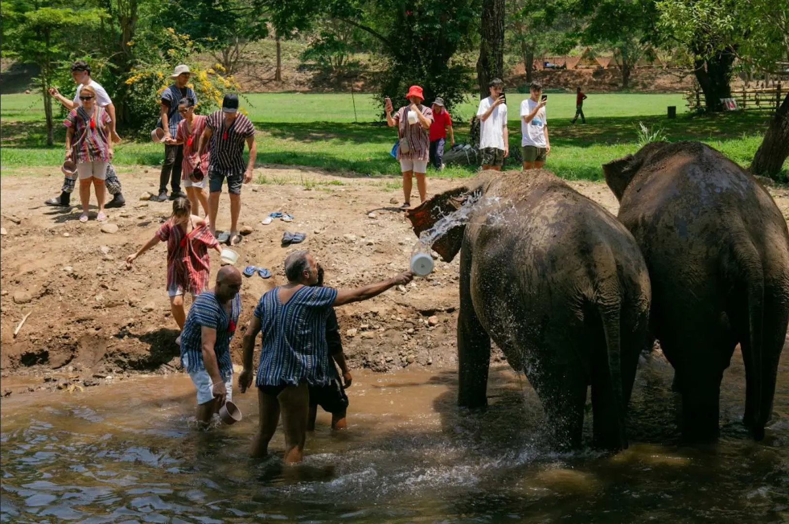 Tourists joyfully bathing and playing with elephants in the natural river at Chiang Mai Lanna Elephant Sanctuary, enjoying a memorable and cruelty-free interactive experience.