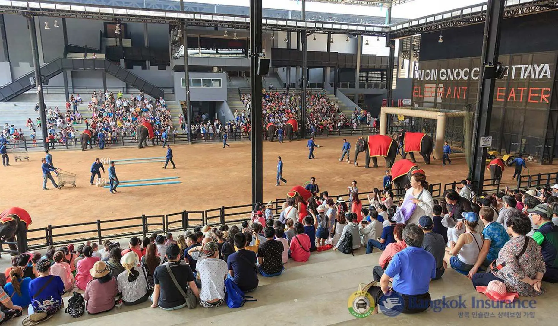 在 Nong Nooch Village 欣赏迷人的表演