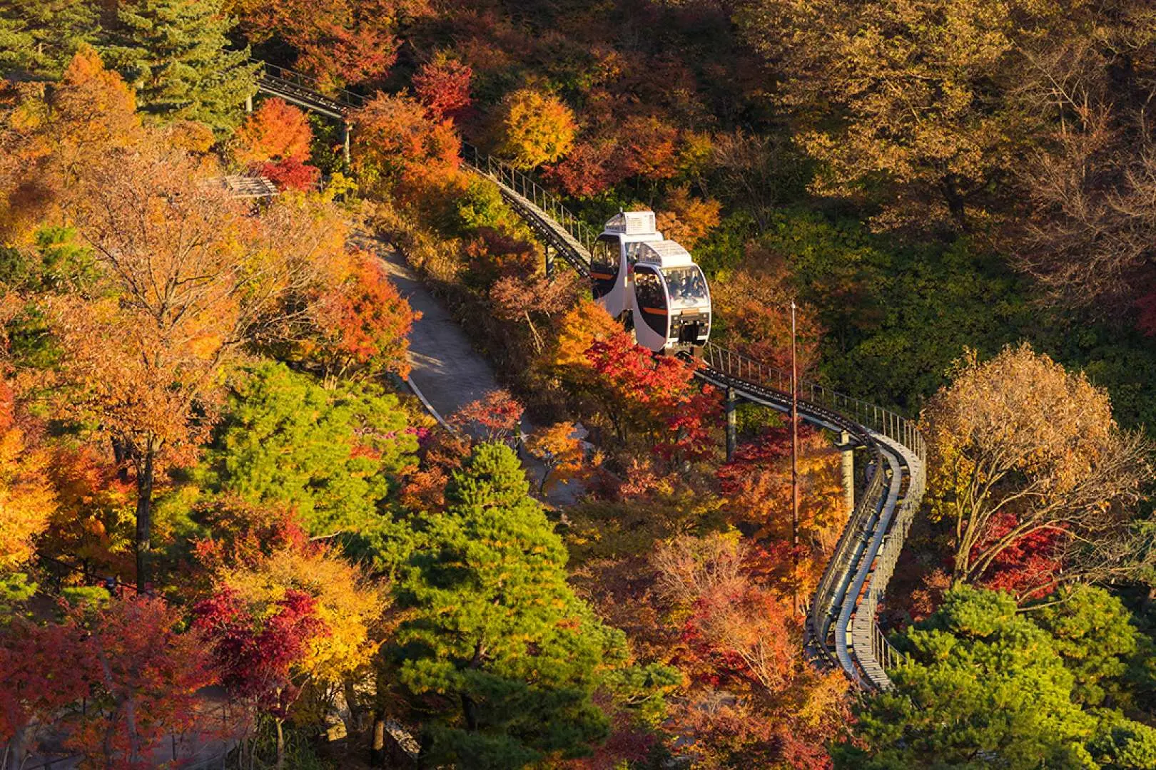 Catch the vibrant foilage during the autumn season