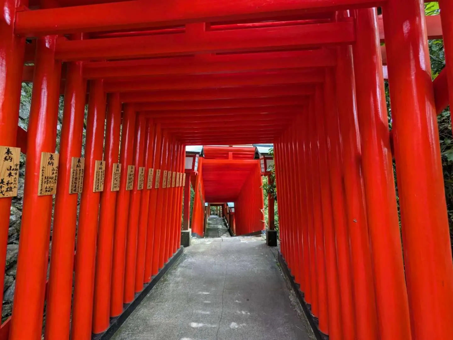 太鼓谷稻成神社壮观的千本鸟居隧道，数不清的朱红色鸟居绵延上山，构成一条通往神圣殿堂的独特路径，充满灵气。