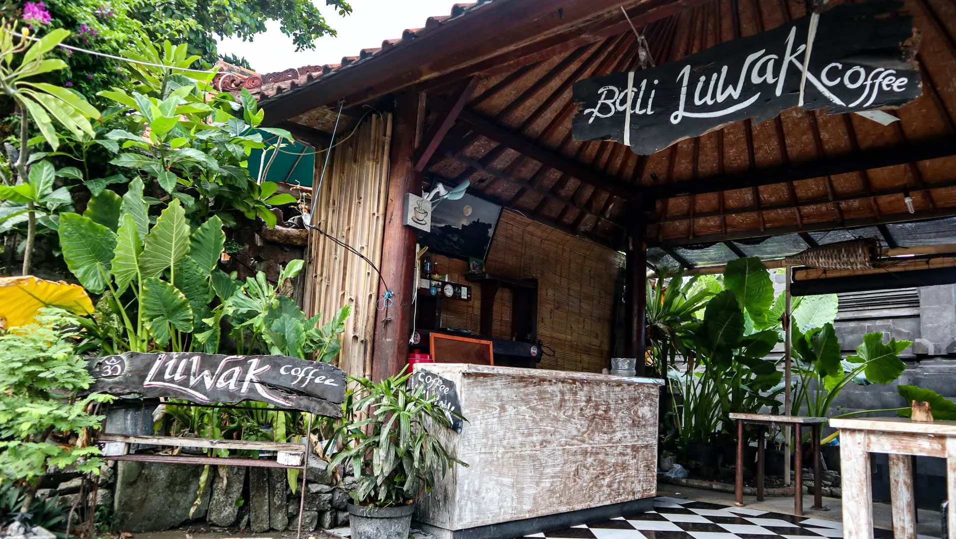 Local specialty Luwak coffee shop in Bali, with wooden signs and bamboo decor exuding Southeast Asian charm, surrounded by lush greenery, offering a unique coffee experience.