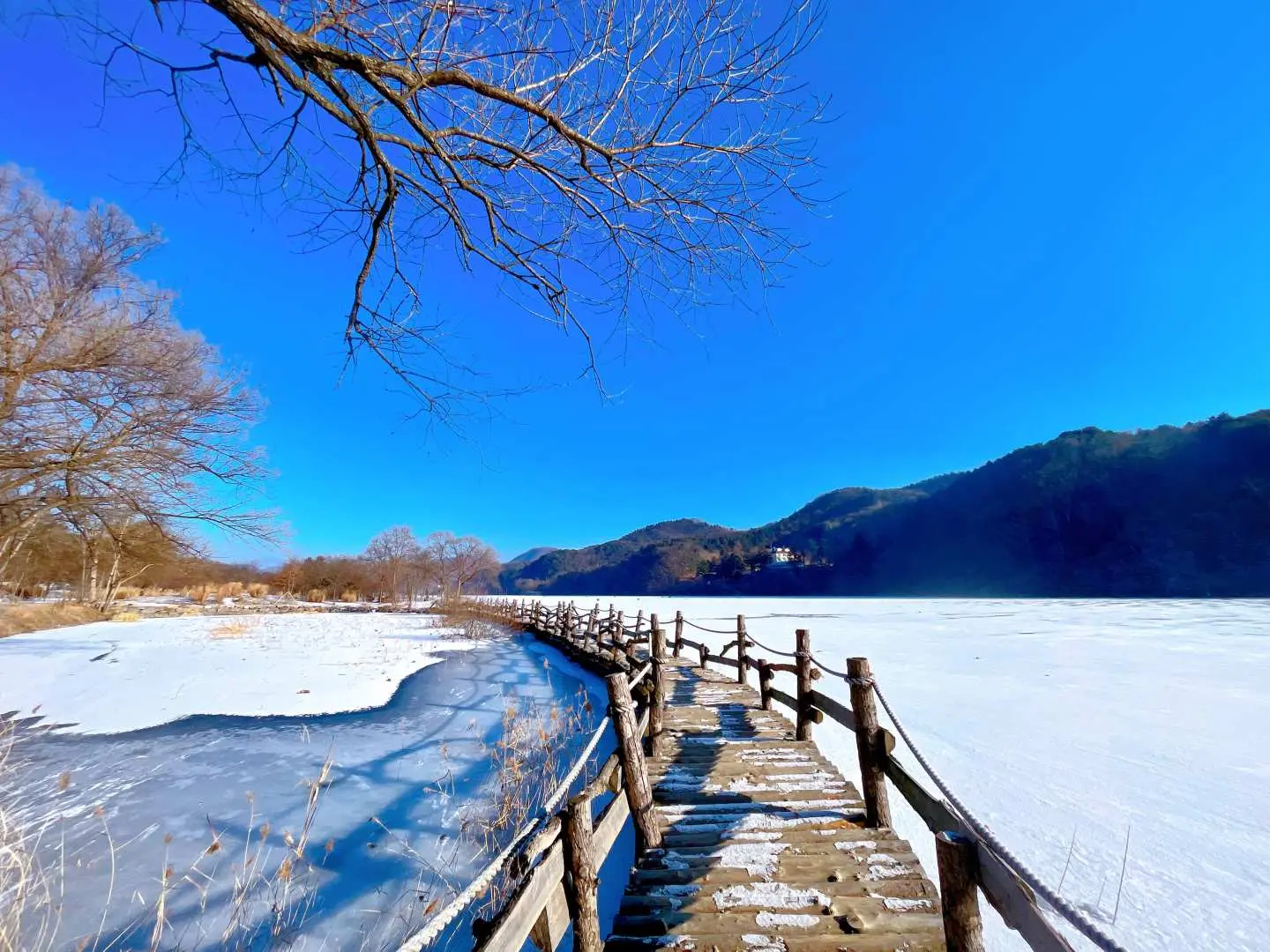 南怡島冬季雪景，白雪覆蓋的湖畔與結冰的湖面，木棧道蜿蜒在枯枝與雪地間，展現寧靜的北國風光。