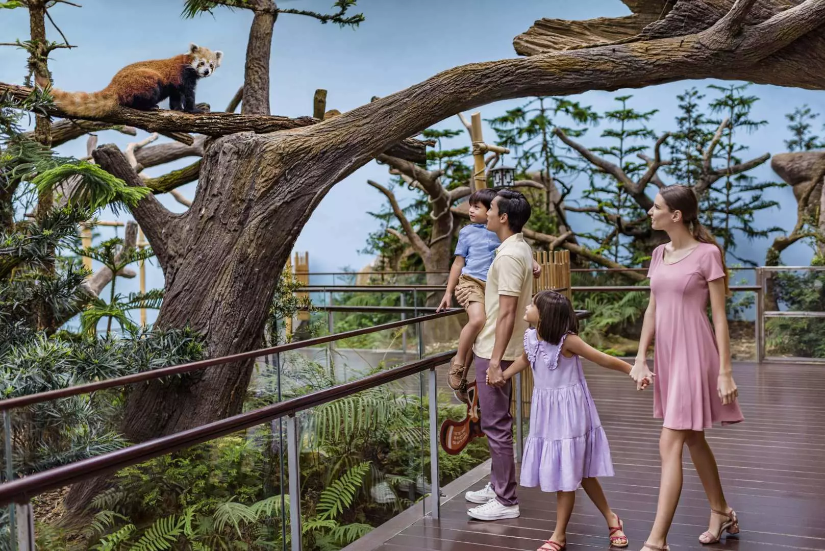 ครอบครัวบนทางเดินยกระดับที่ River Wonders สิงคโปร์ ชมแพนด้าแดงน่ารักเกาะอยู่บนกิ่งไม้ สัมผัสประสบการณ์พิพิธภัณฑ์สัตว์น้ำจืดที่ใหญ่ที่สุดในโลก