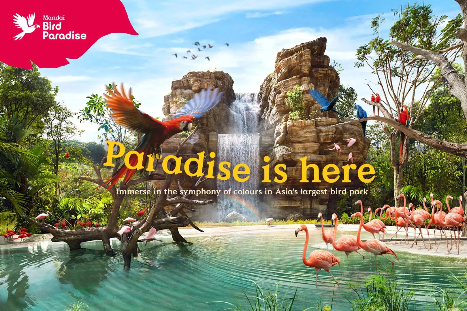 Bird Paradise สิงคโปร์ มีนกฟลามิงโกเดินเล่นในบ่อน้ำใส น้ำตกตระหง่าน และนกแก้วหลากสีสันบินร่อน สร้างทัศนียภาพอันสดใสในสวนนกที่ใหญ่ที่สุดในเอเชีย