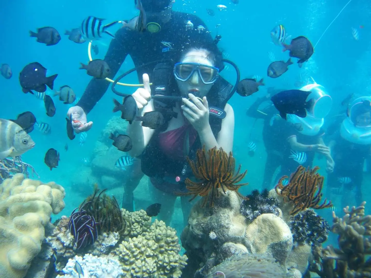 A coach will instruct you on the techniques and skills needed for scuba diving.