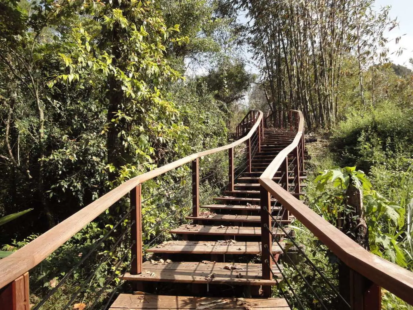 嘉义山林中蜿蜒而上的木栈道阶梯，阳光洒落林间，邀请包车一日游旅客深入探索静谧的自然步道。