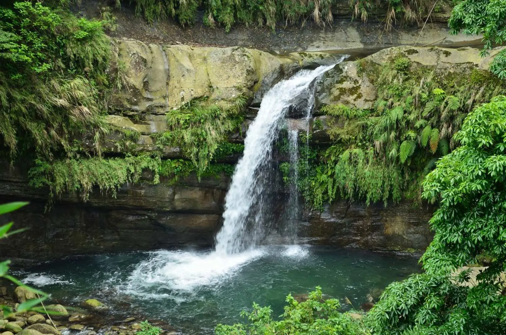 观音瀑布清澈水流自岩壁倾泻而下，汇入碧绿潭水，周围被茂盛绿意环绕，是嘉义包车一日游的幽静自然景点。
