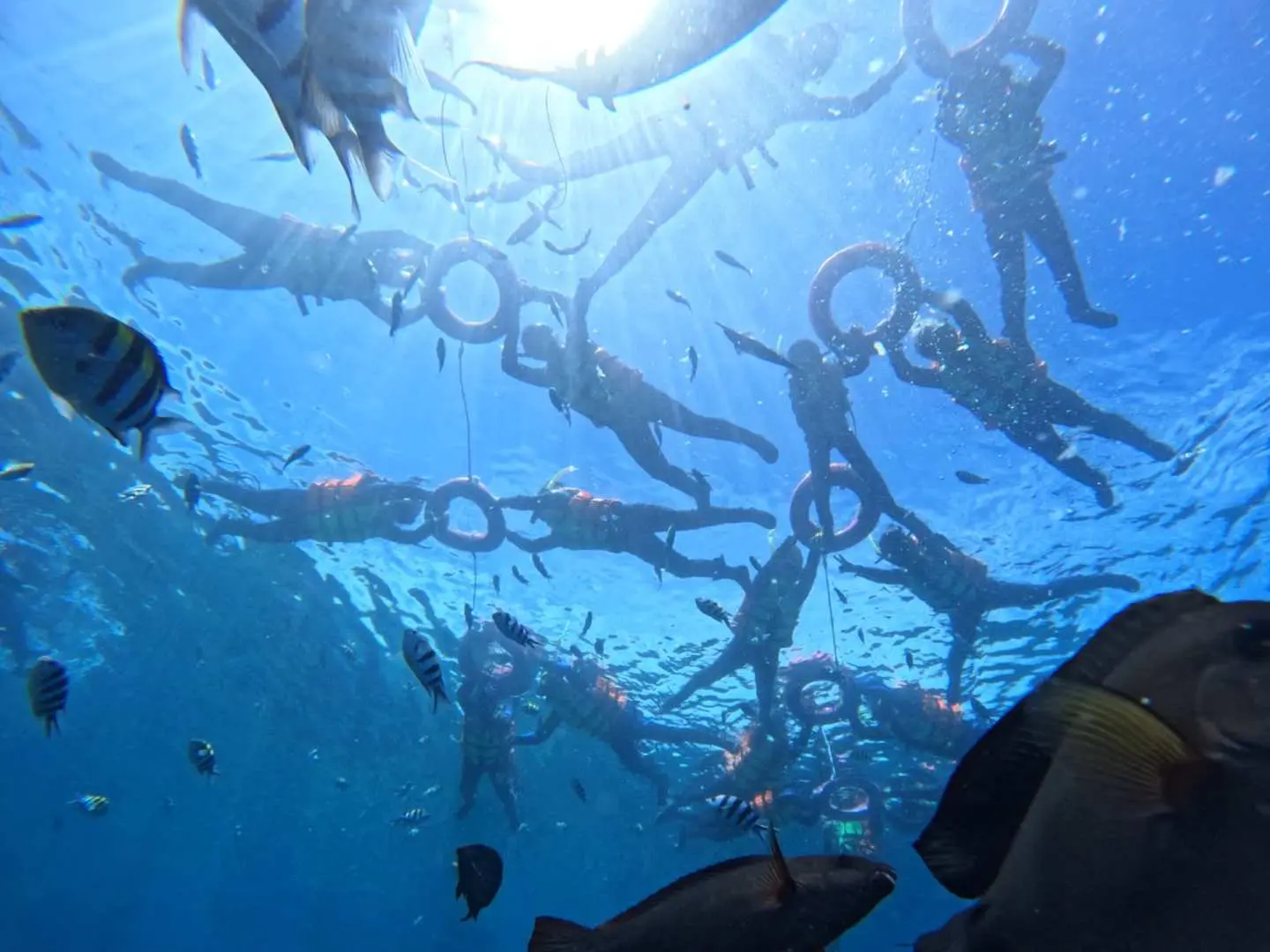 During Green Island snorkeling, participants, guided by a coach, wear gear and use floats, safely drifting on the clear sea surface, enjoying a relaxed group experience.