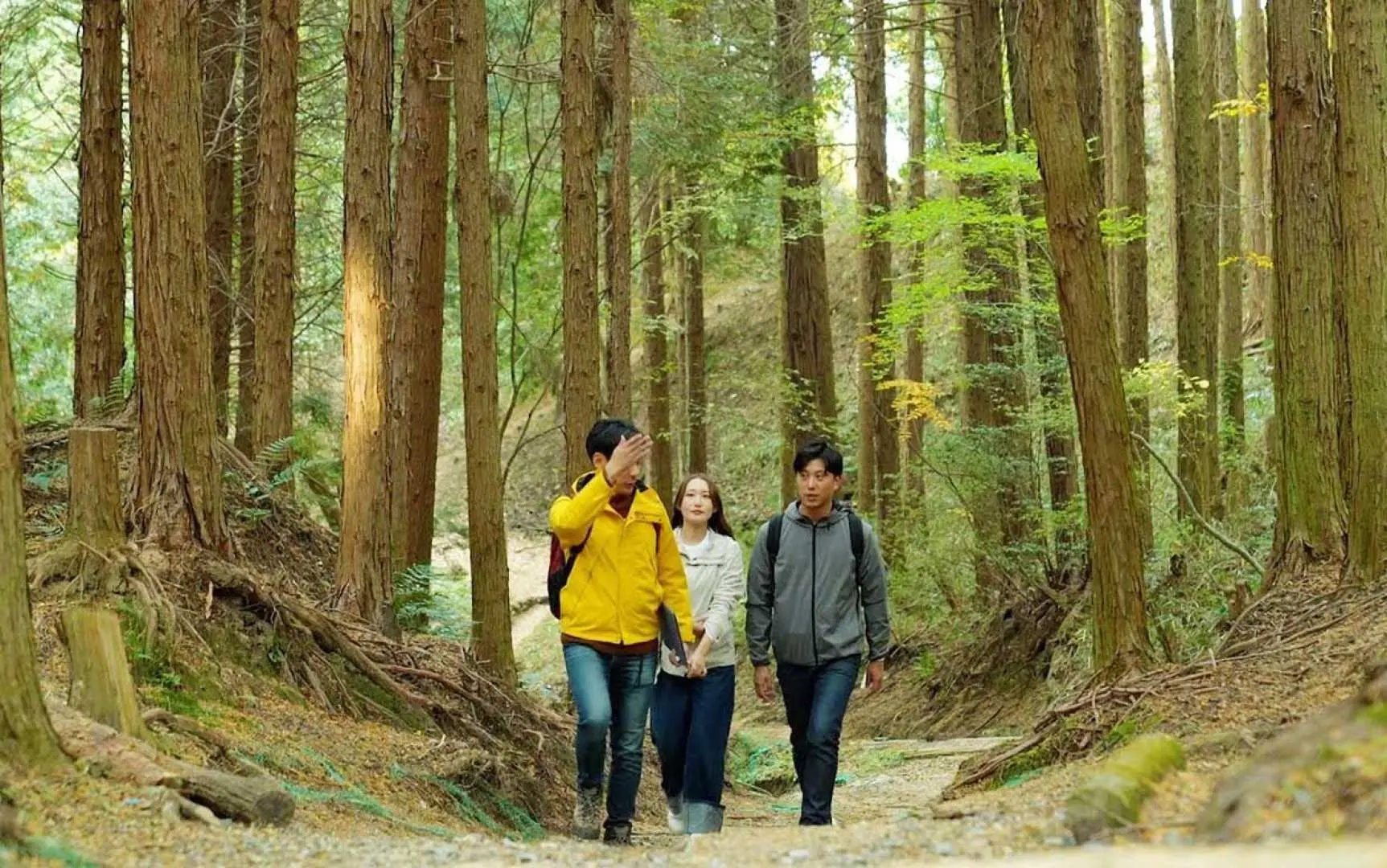 三位游客在日本国见山杉木林步道徒步，享受阳光穿透树林的自然风光，适合亲子与户外新手。