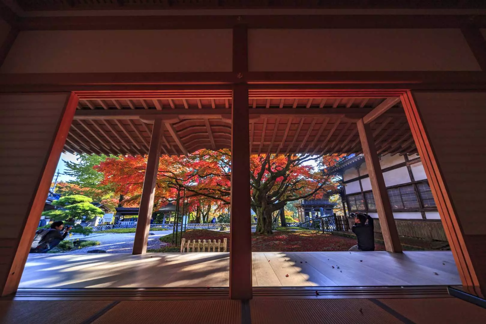 Serene view of the vibrant autumn garden at Raizan Sennyoji Daihio-in Temple, framed by the traditional wooden architecture from inside the temple building, capturing the beautiful red maple leaves.