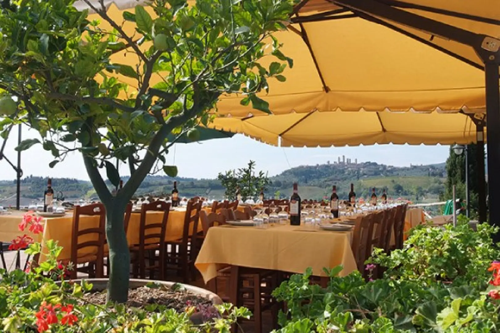 【佛羅倫斯〉60公里〉照●聖吉米納諾San Gimignano(百塔之城)〉入●托斯卡尼農莊品酒+午餐饗宴〉77公里〉照●比薩Pisa(奇蹟之城)〉100公里〉夜宿佛羅倫斯老城】