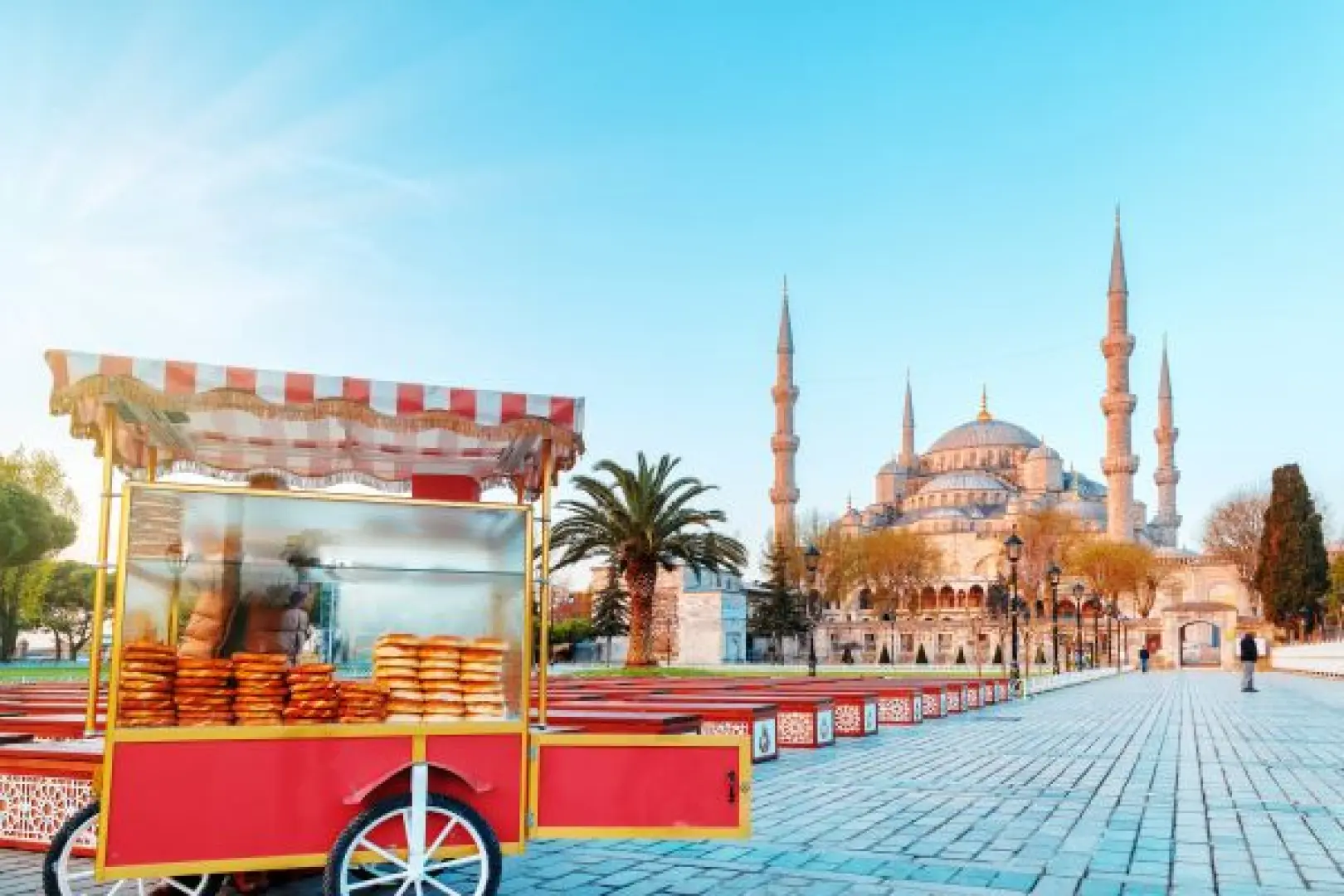【伊斯坦堡Istanbul〉入●博斯普魯斯海峽遊船(整團包船)Bosporus Cruise〉入●香料市集Misir Carsisi〉照●塔克辛廣場Taksim Square〉機場／桃園(約11小時20分)】