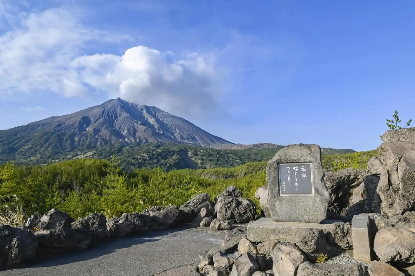 【入●仙巖園(加贈抹茶體驗)〉入●櫻島渡輪〉照●有村熔岩展望台〉入●日南太陽花園〉宮崎溫泉】