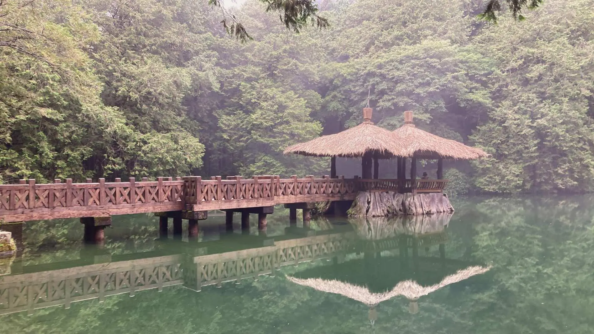 阿里山姊妹潭畔，古樸的木造涼亭與橋樑倒映在寧靜湖面，周圍環繞翠綠森林，展現水山巨木步道的自然之美。