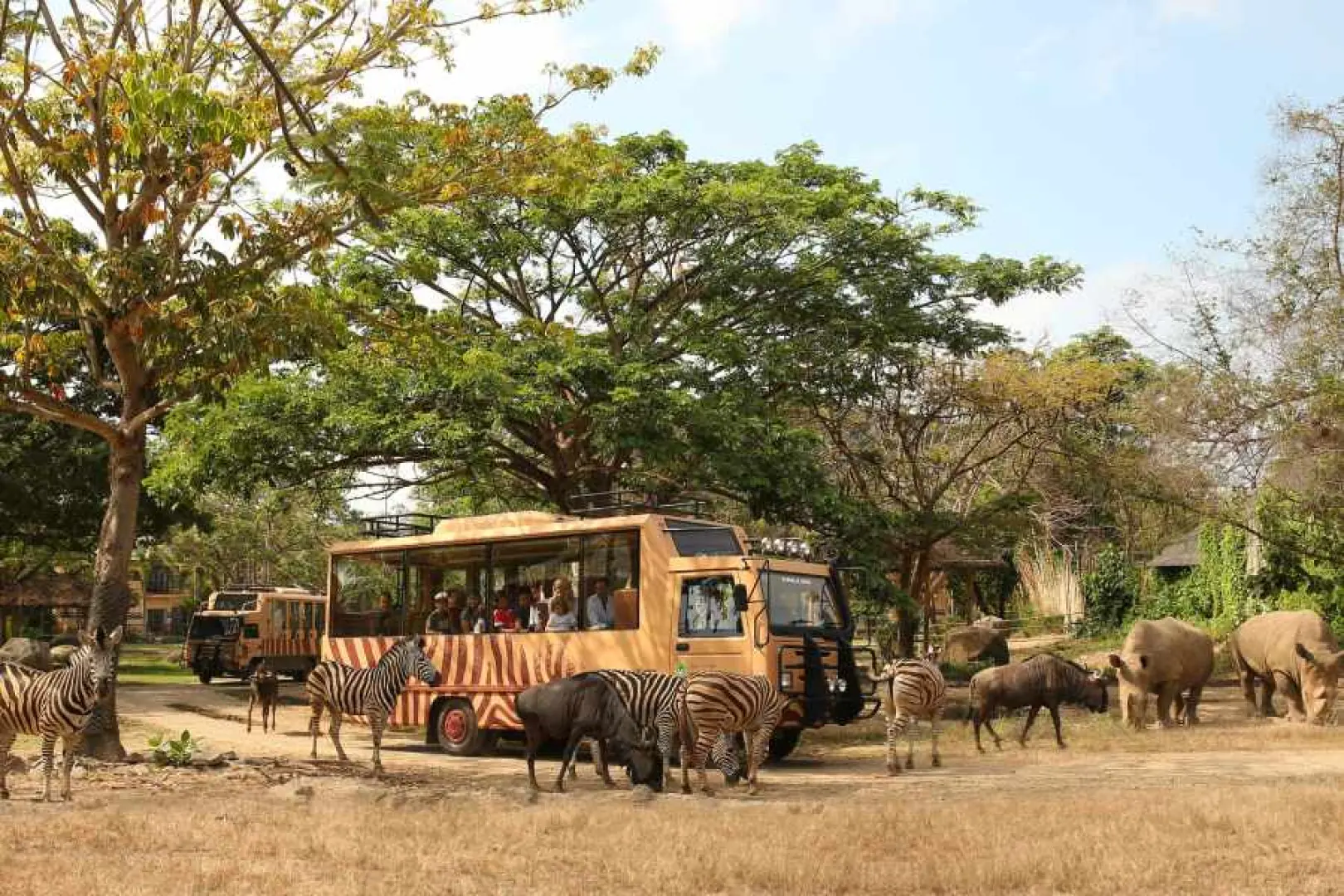 【入●野生動物園(狩獵遊園車、動物教育表演秀、文化音樂劇－阿貢秀）〉入●峇里島美體按摩三選一(全程約2小時)】