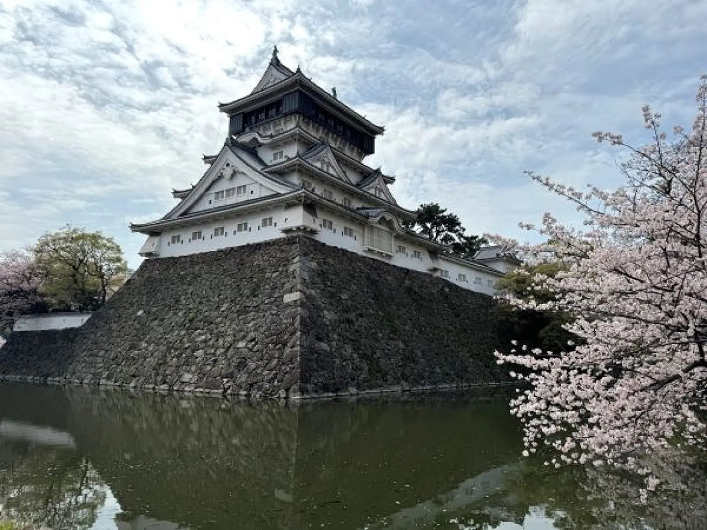 【照●勝山公園〉照●小倉城(遠眺不入內)賞櫻〉入●白野江植物公園（賞櫻）〉門司港懷舊散策：門司港車站、舊門司稅關、舊三井俱樂部、海峽廣場】