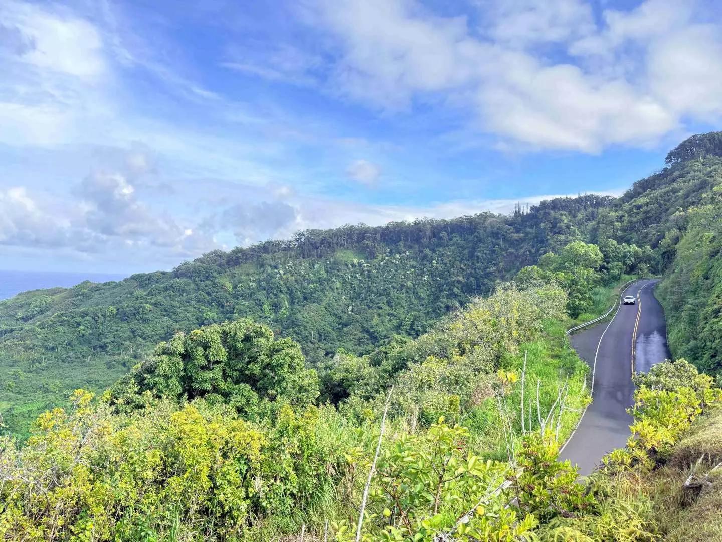 マウイ島の鬱蒼とした熱帯雨林と山々を縫うように走る壮大な景観道路。パノラマビューが楽しめる。