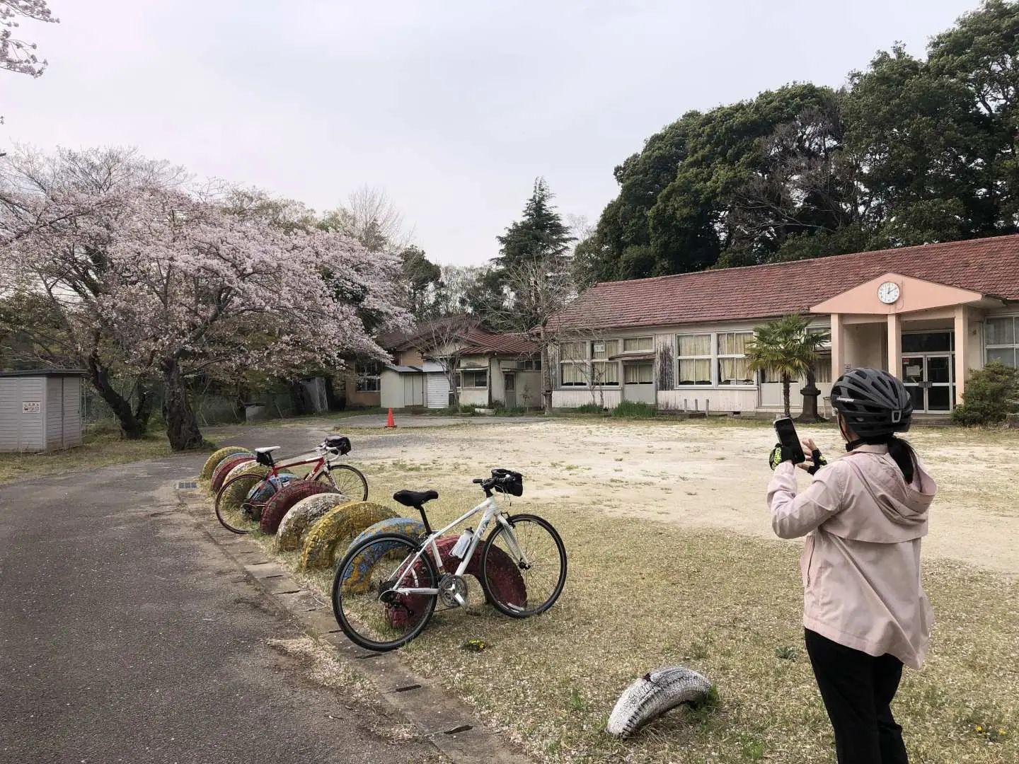 歴史ある平塚分校の隣には自転車がきちんと駐輪されており、旅行者はここで校舎の建物と周囲に咲く桜を立ち止まって鑑賞しています。