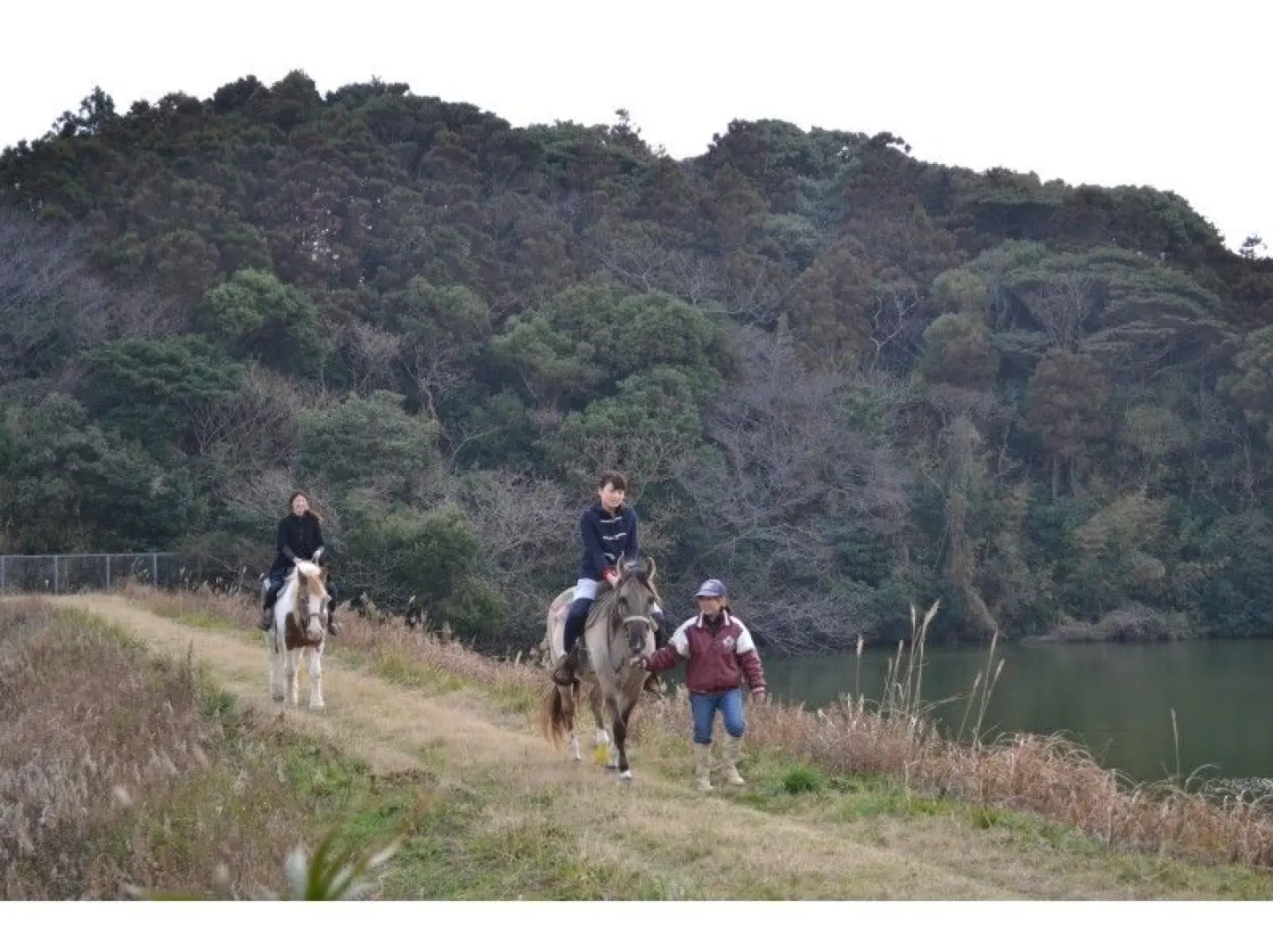 福冈宗像骑马体验，亲子顾客在教练的悉心指导下，骑乘马匹沿着绿意盎然的湖边小径前进，享受20分钟的迷你长途路线，感受亲近大自然的独特乐趣。