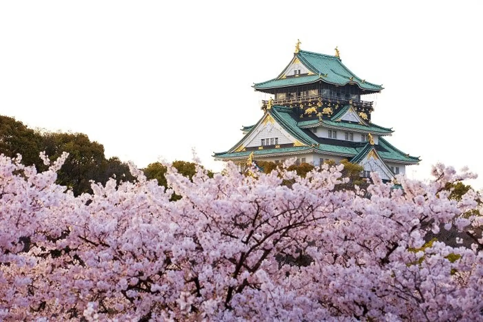 【入●北野天滿神社〉入●大阪城公園(不上天守閣)〉入●光伸免稅商店〉入●心齋橋(自由活動)】