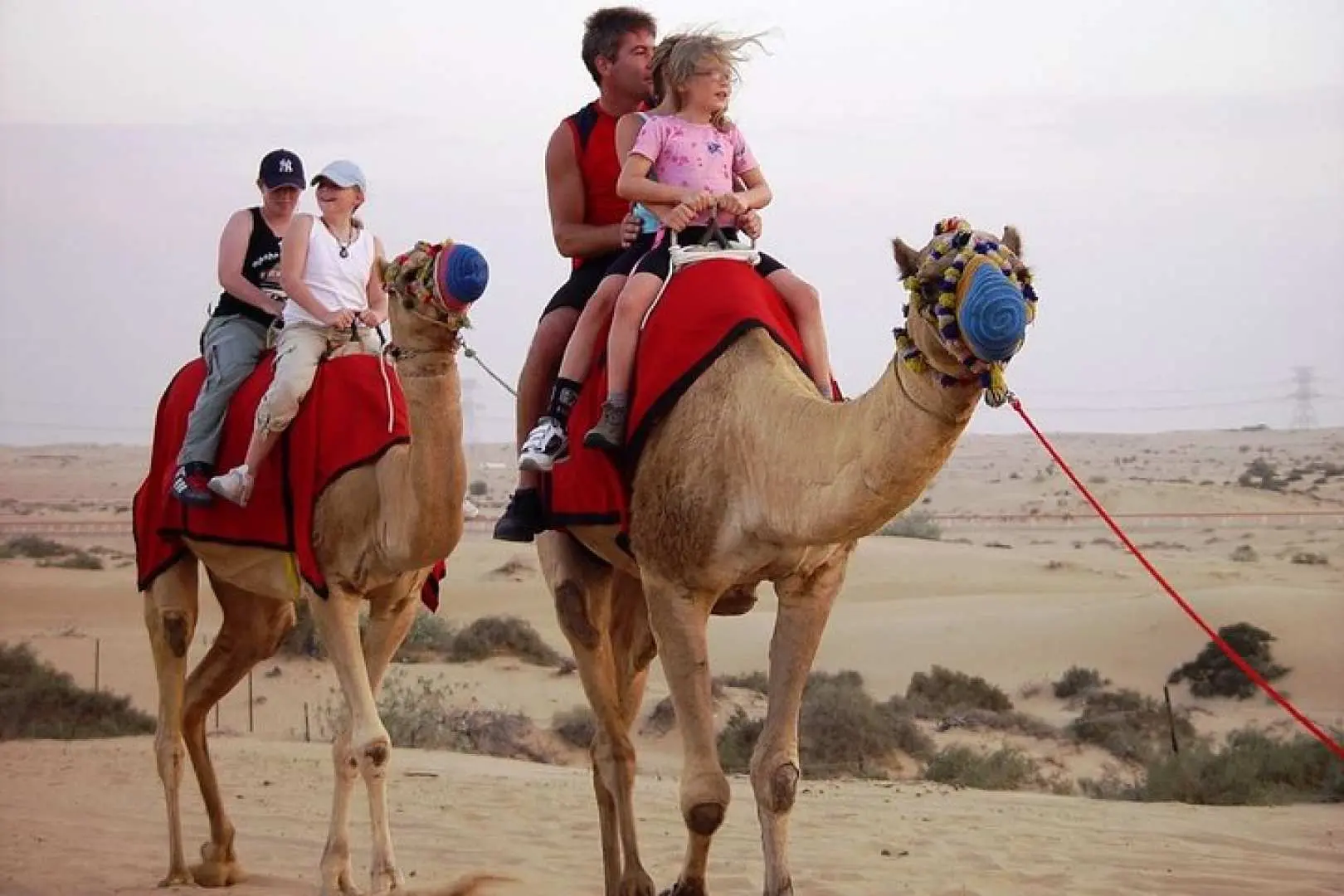 Camel ride