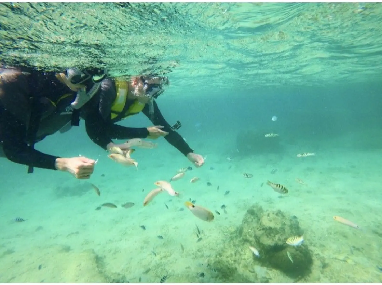 The underwater time is about 40 minutes. Let yourself be healed by the underwater world.