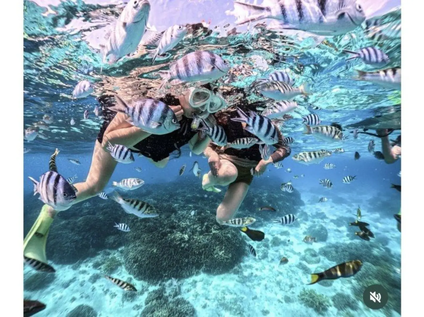 Let's get in the water! Once you enter the water, lots of fish will be waiting to greet you.