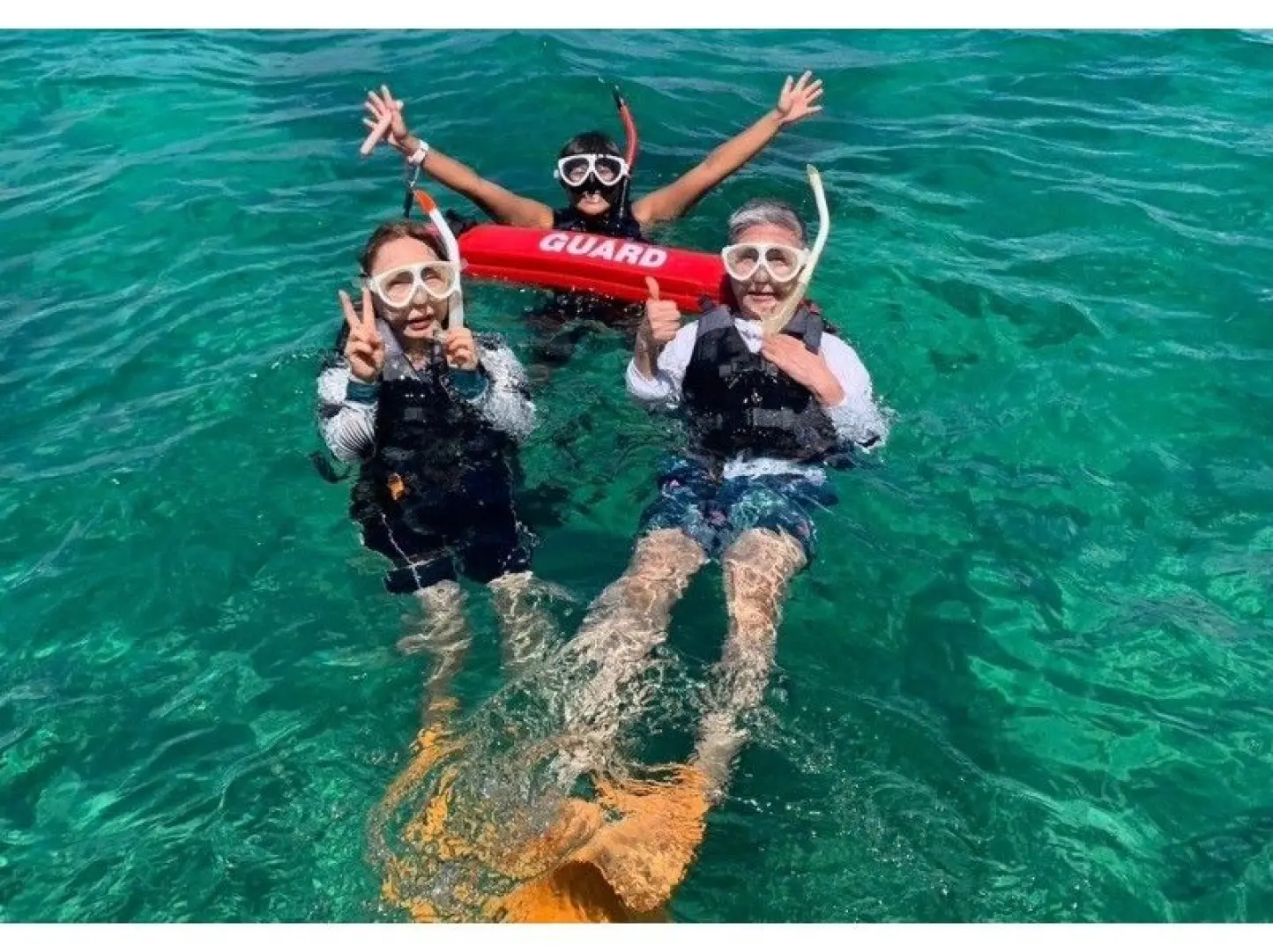 The experience begins. Experienced marine staff will enter the water with you to ensure your safety.