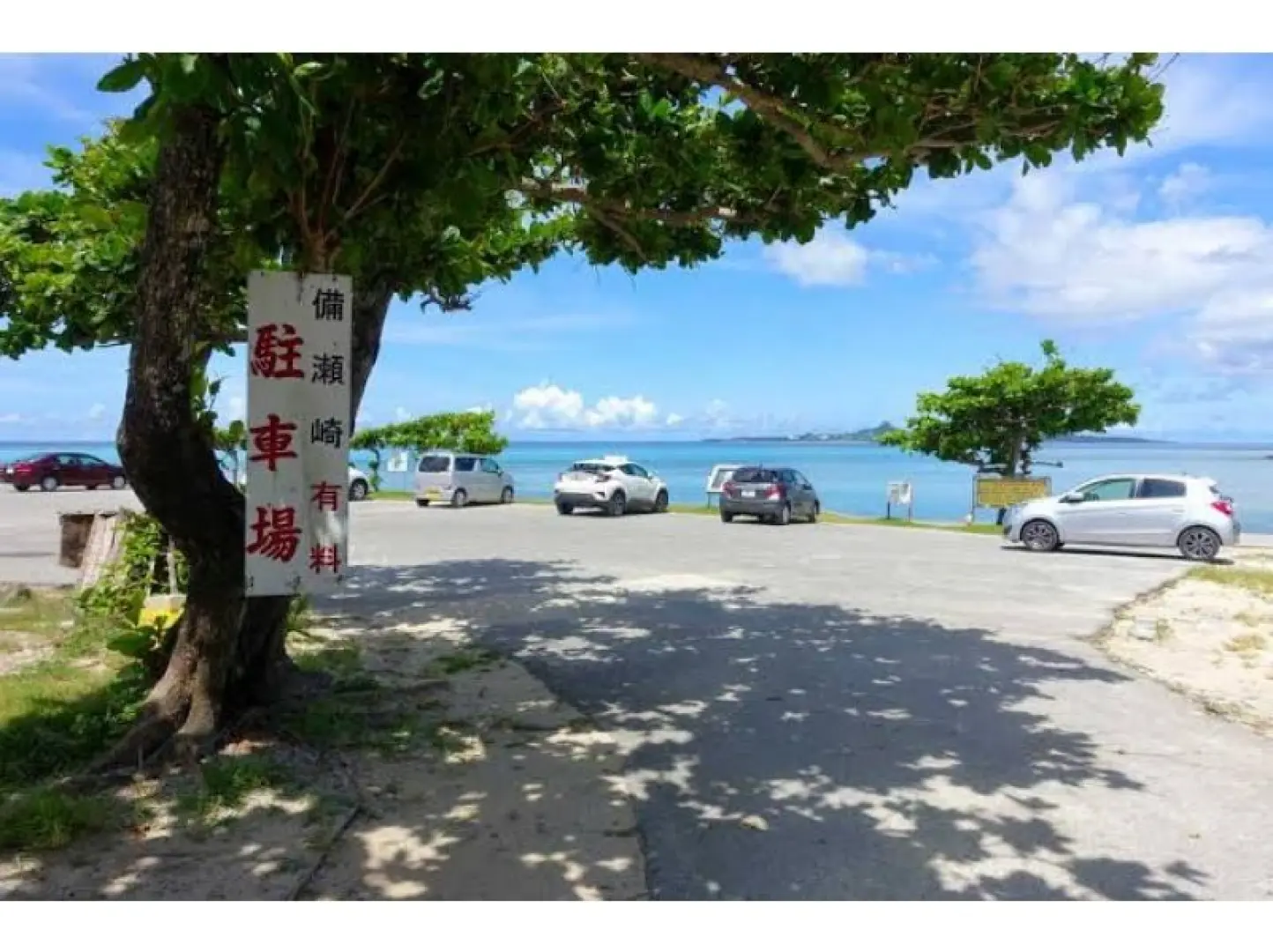 Meet at your designated beach. We will send you the day before. Meet at the designated location!