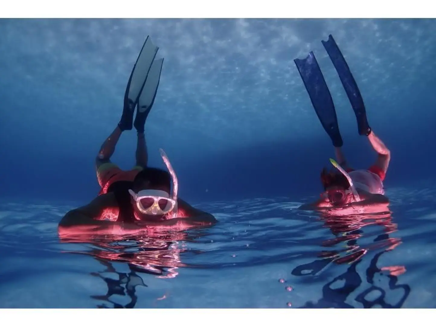 PM course. 12:20-12:30: Pick up or meet in person.
Hotel pickup or meet at the meeting point - equipment fitting.
1:00: Depart.
Depart for the diving spot.
1:40-1:50: Arrive at the diving spot.
Skin diving lesson and diving spot explanation.
2:00: Enjoy skin diving!
We will go to one or two diving spots depending on the conditions that day.
4:00: Return to port.
Thank you for your hard work.