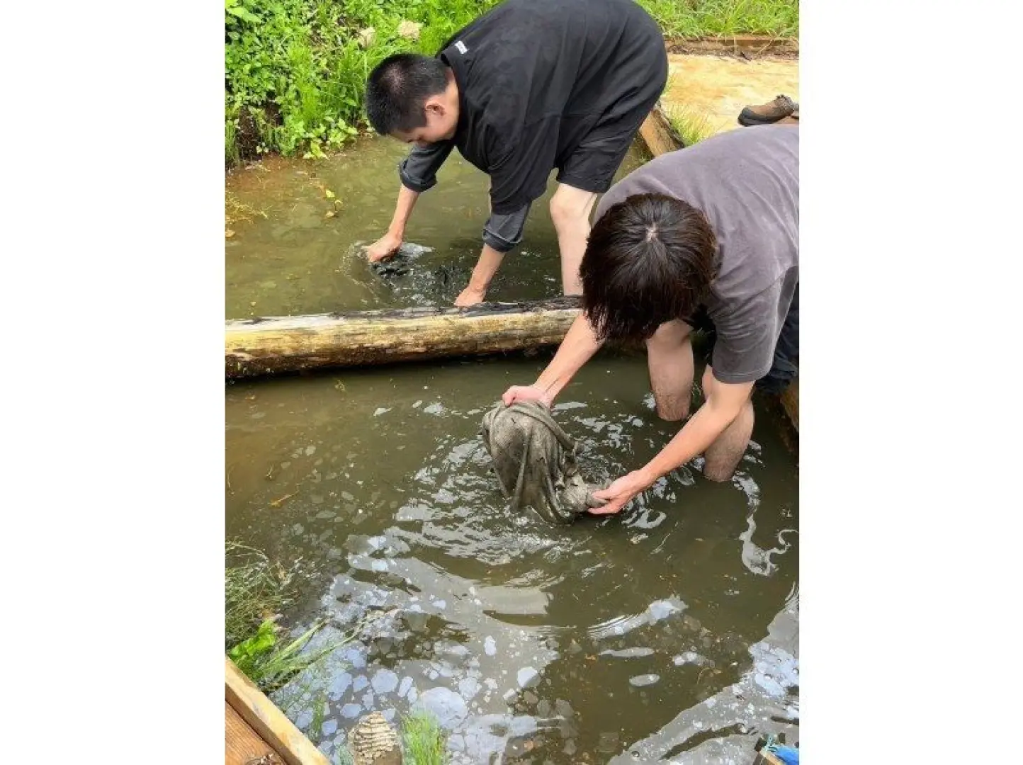釣部町到着。田んぼ染めについてレクチャー後、布に模様をつけるための作業、染液につける作業を繰り返し。