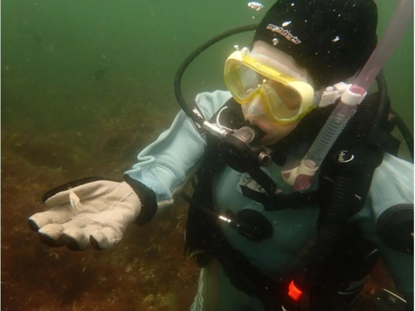 1 dive meeting. Additional dives are also possible.