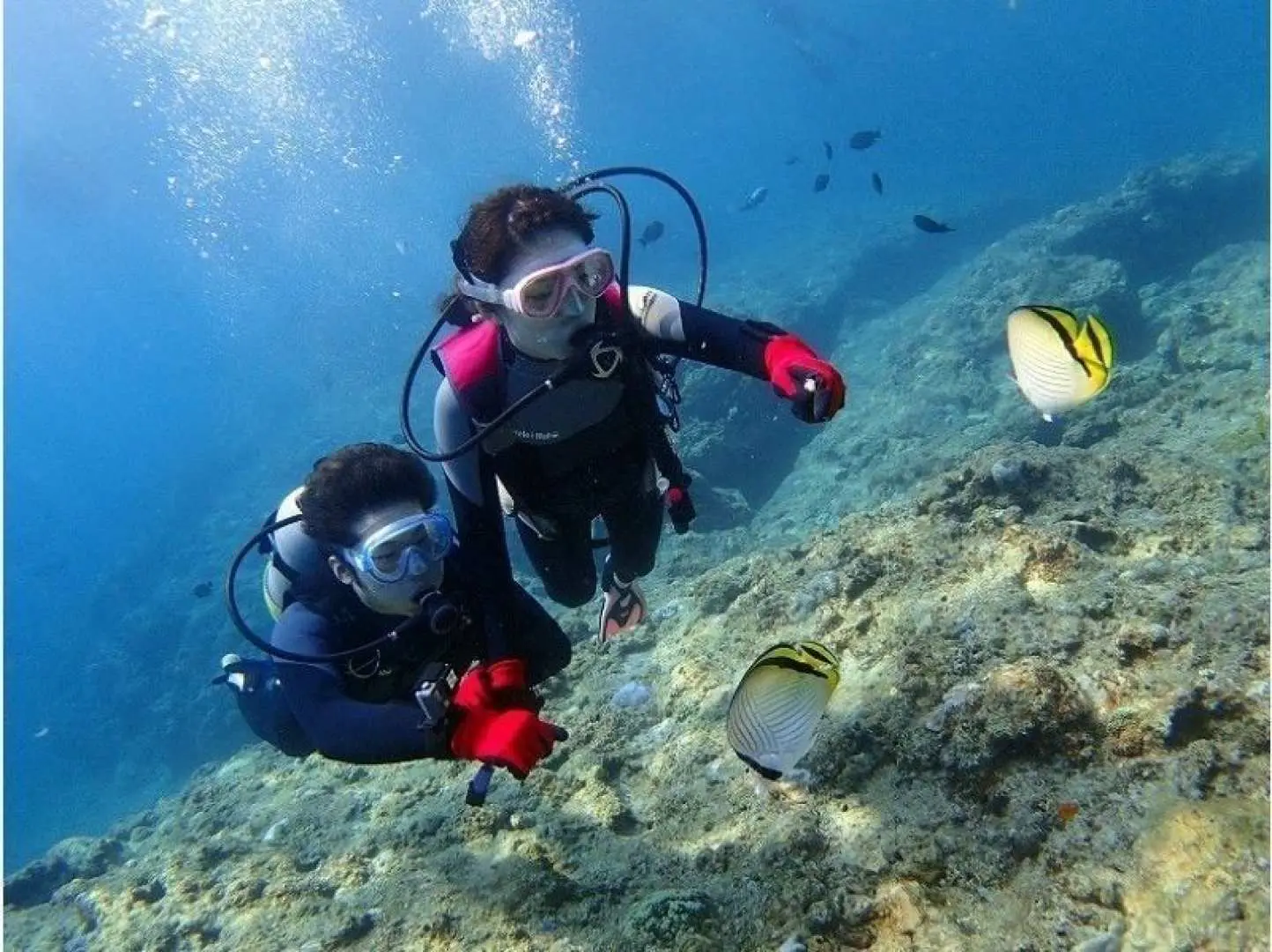 熱帯魚に餌付けを楽しみましょう。。カラフルな熱帯魚に囲まれて写真撮影♪海の生物をいっぱい観察しましょう。