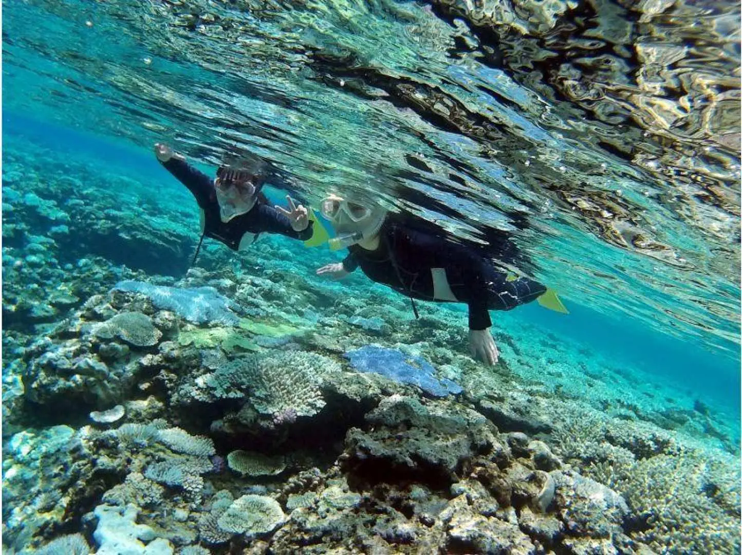 シュノーケリング。・水に慣れるまで少しずつ丁寧に
・お魚ガイドと一緒に海中世界へ